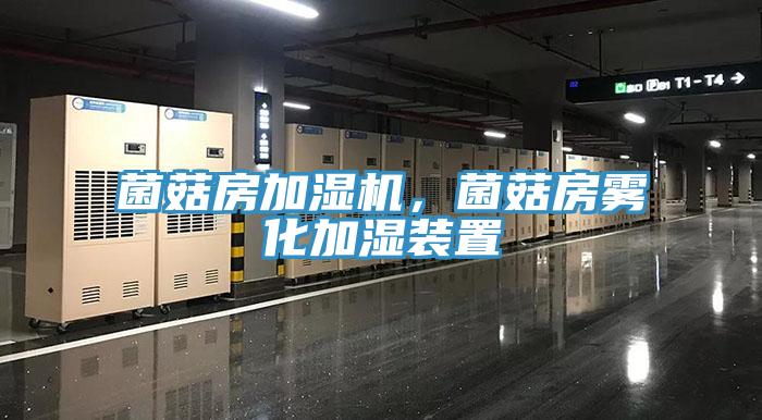 菌菇房加湿机，菌菇房雾化加湿装置