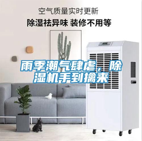 雨季潮气肆虐，除湿机手到擒来