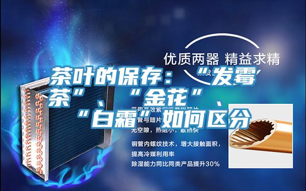 茶叶的保存：“发霉茶”、“金花”、“白霜”如何区分
