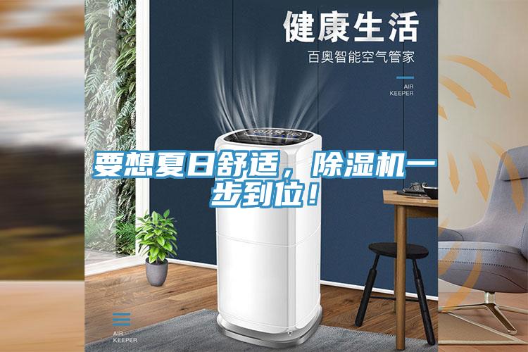 要想夏日舒适，除湿机一步到位！
