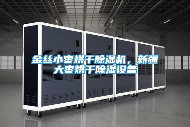 金丝小枣烘干除湿机，新疆大枣烘干除湿设备