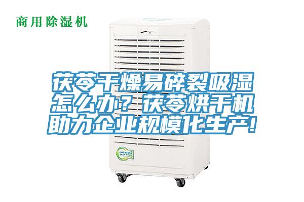 茯苓干燥易碎裂吸湿怎么办？茯苓烘干机助力企业规模化生产!