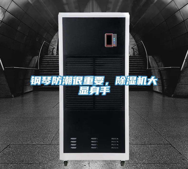 钢琴防潮很重要，除湿机大显身手