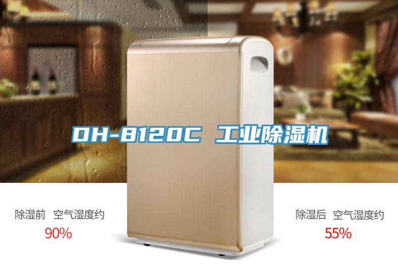 DH-8120C 工业除湿机