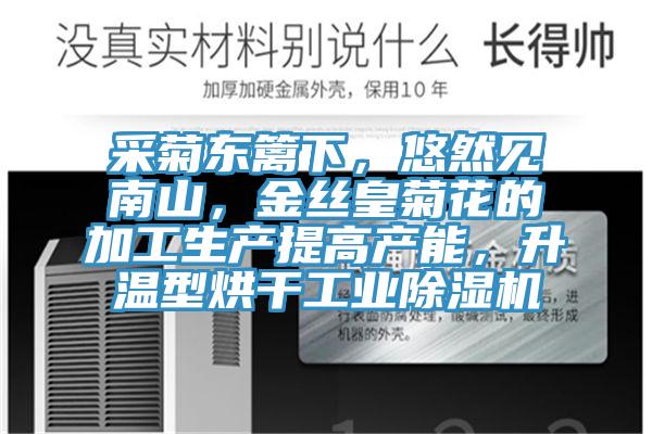 采菊东篱下，悠然见南山，金丝皇菊花的加工生产提高产能，升温型烘干工业除湿机
