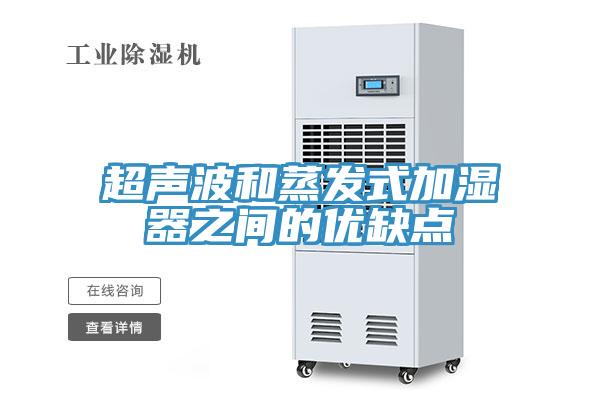 超声波和蒸发式加湿器之间的优缺点