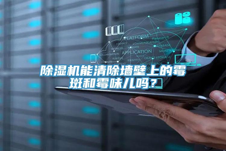 除湿机能清除墙壁上的霉斑和霉味儿吗？