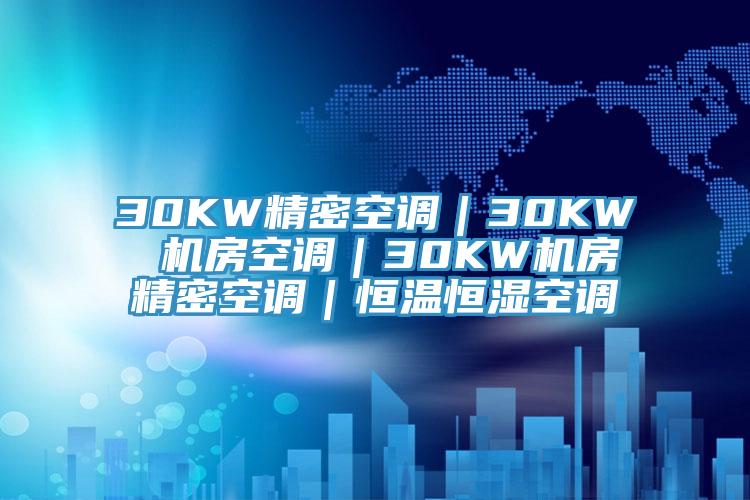30KW精密空调｜30KW 机房空调｜30KW机房精密空调｜恒温恒湿空调