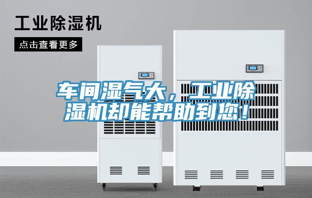 车间湿气大，工业除湿机却能帮助到您！