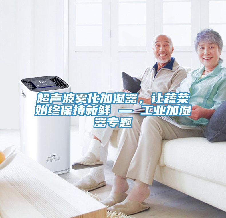 超声波雾化加湿器，让蔬菜始终保持新鲜 — 工业加湿器专题