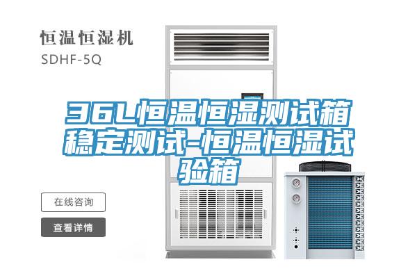 36L恒温恒湿测试箱稳定测试-恒温恒湿试验箱
