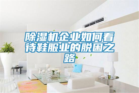 除湿机企业如何看待鞋服业的脱困之路