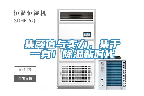 集颜值与实力，集于一身！除湿新时代