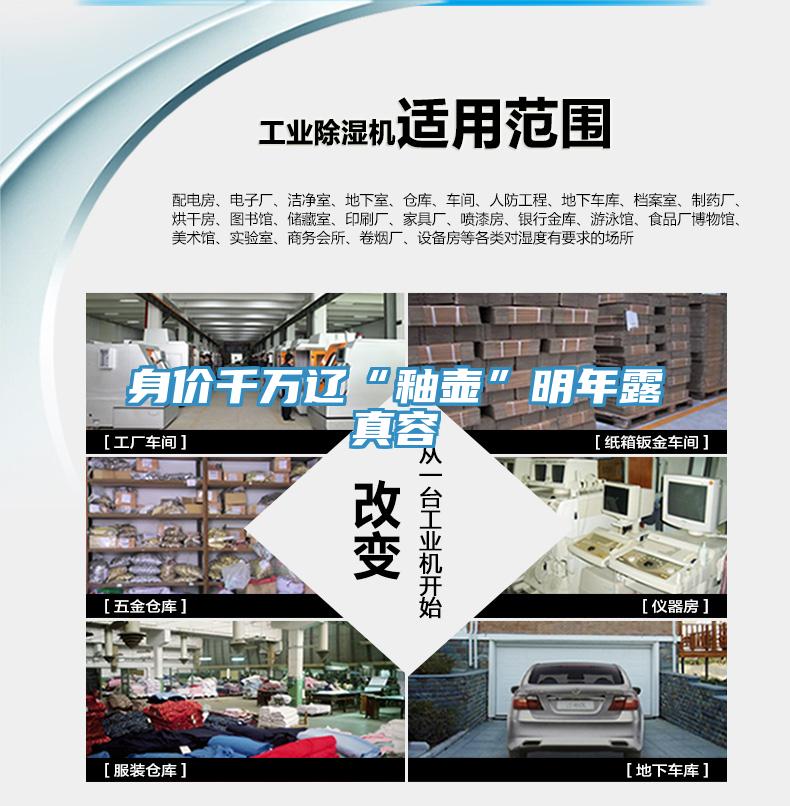 身价千万辽“釉壶”明年露真容