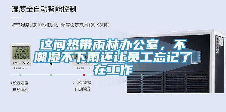 这间热带雨林办公室，不潮湿不下雨还让员工忘记了在工作