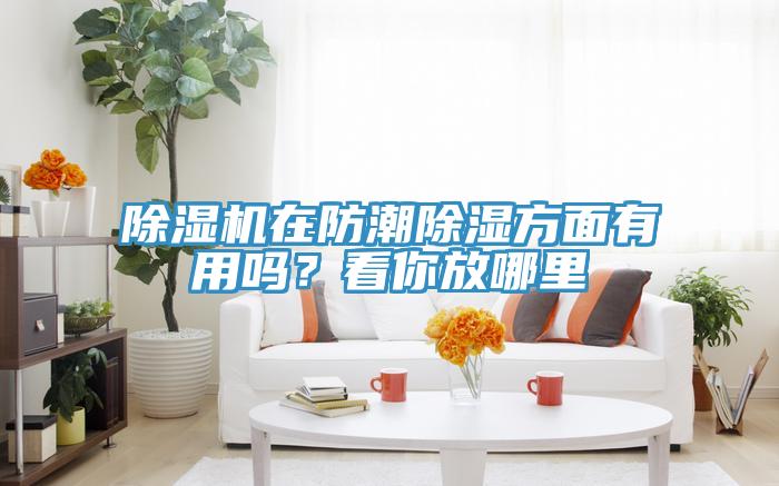 除湿机在防潮除湿方面有用吗？看你放哪里