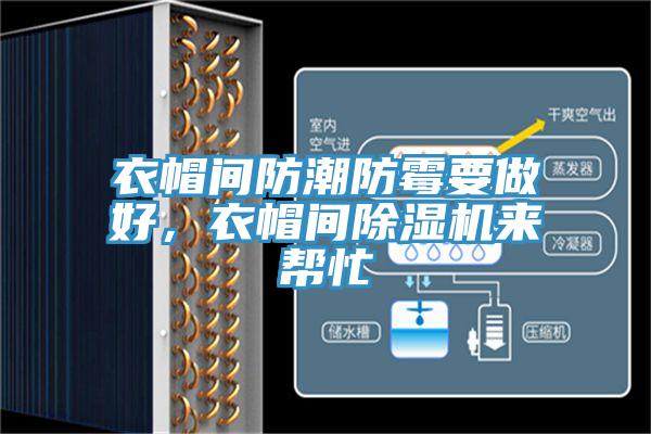 衣帽间防潮防霉要做好，衣帽间除湿机来帮忙