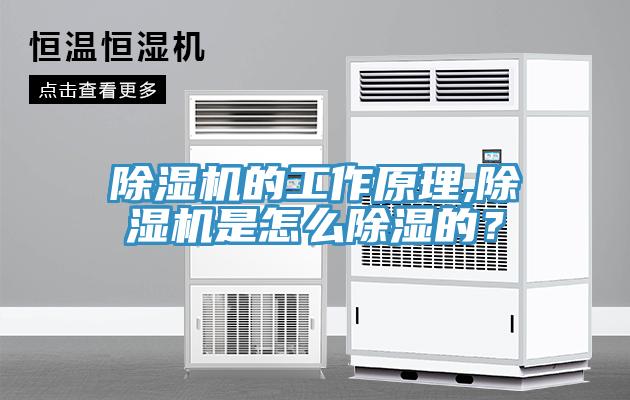 除湿机的工作原理,除湿机是怎么除湿的？