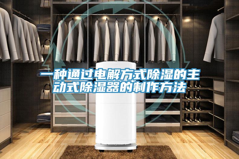 一种通过电解方式除湿的主动式除湿器的制作方法