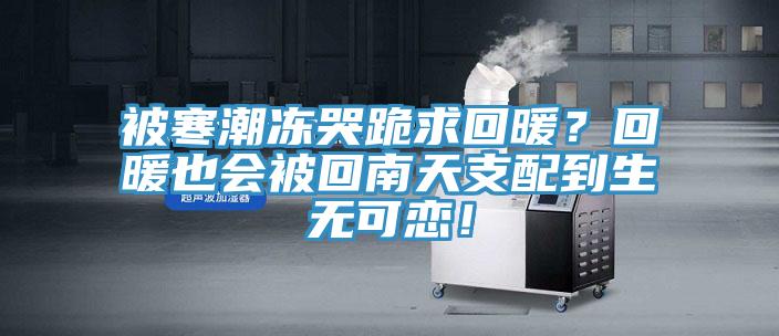 被寒潮冻哭跪求回暖？回暖也会被回南天支配到生无可恋！