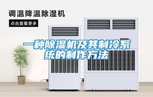 一种除湿机及其制冷系统的制作方法