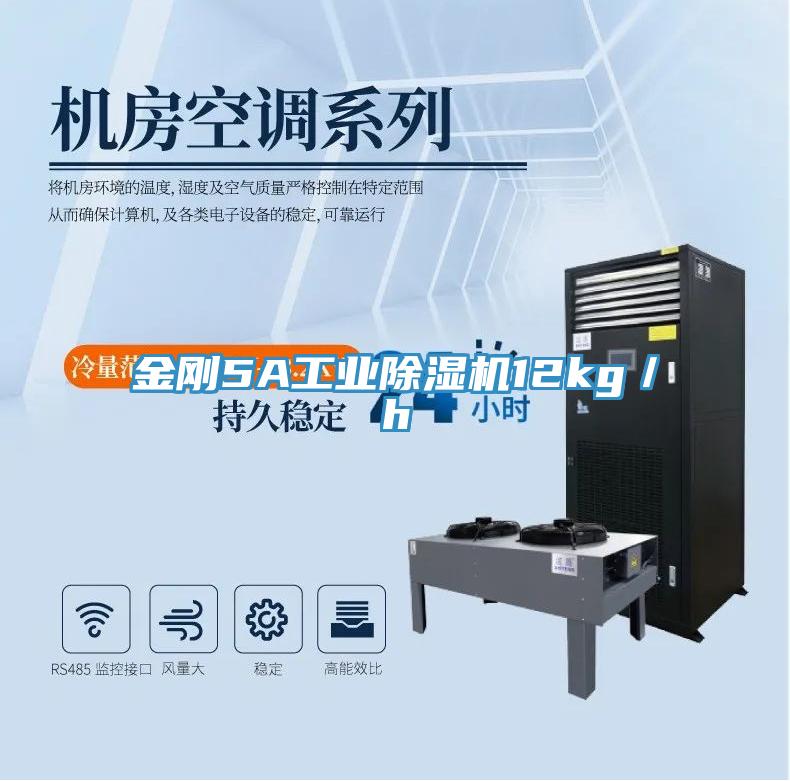 金刚5A工业除湿机12kg／h