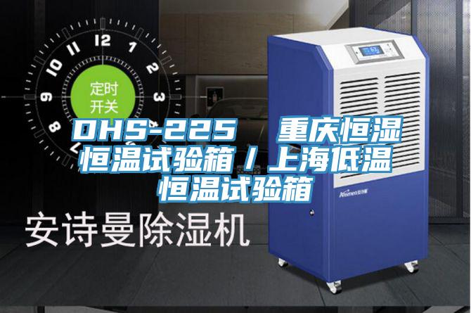 DHS-225  重庆恒湿恒温试验箱／上海低温恒温试验箱