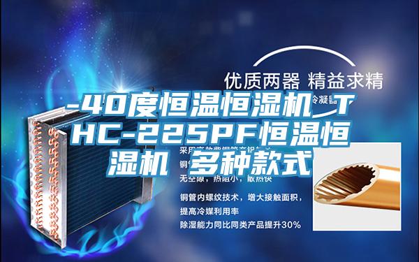 -40度恒温恒湿机 THC-225PF恒温恒湿机 多种款式