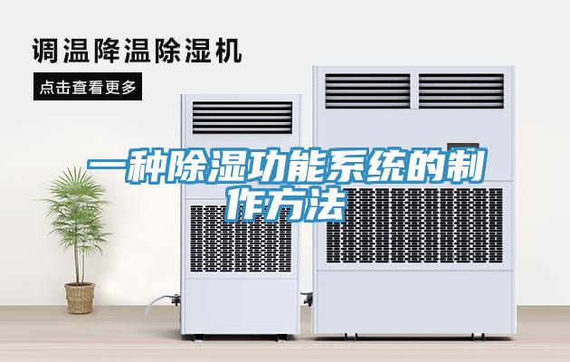 一种除湿功能系统的制作方法