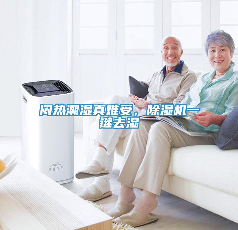 闷热潮湿真难受，除湿机一键去湿
