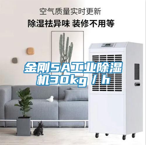 金刚5A工业除湿机30kg／h