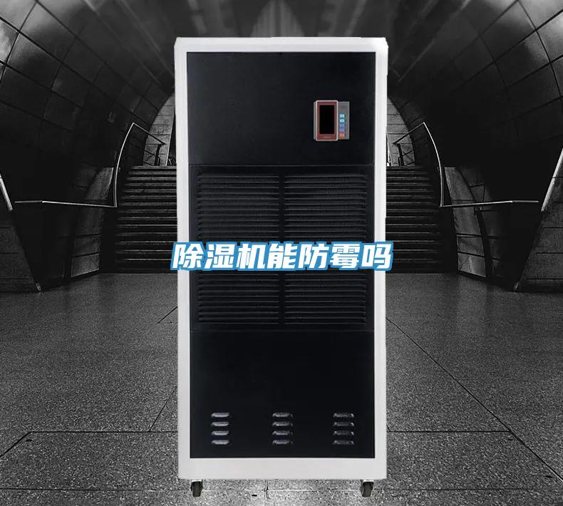 除湿机能防霉吗