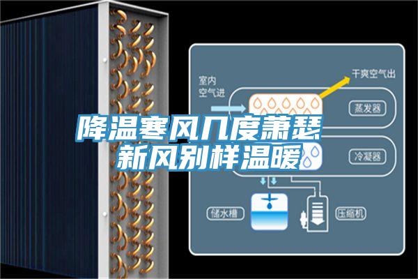 降温寒风几度萧瑟 新风别样温暖