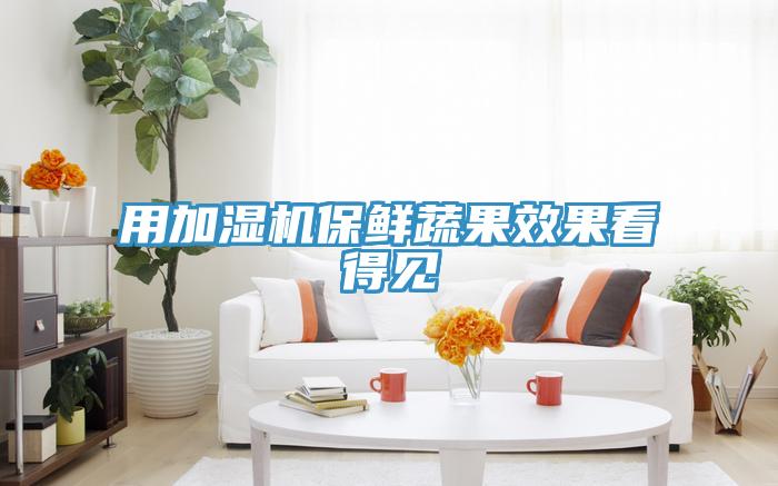 用加湿机保鲜蔬果效果看得见