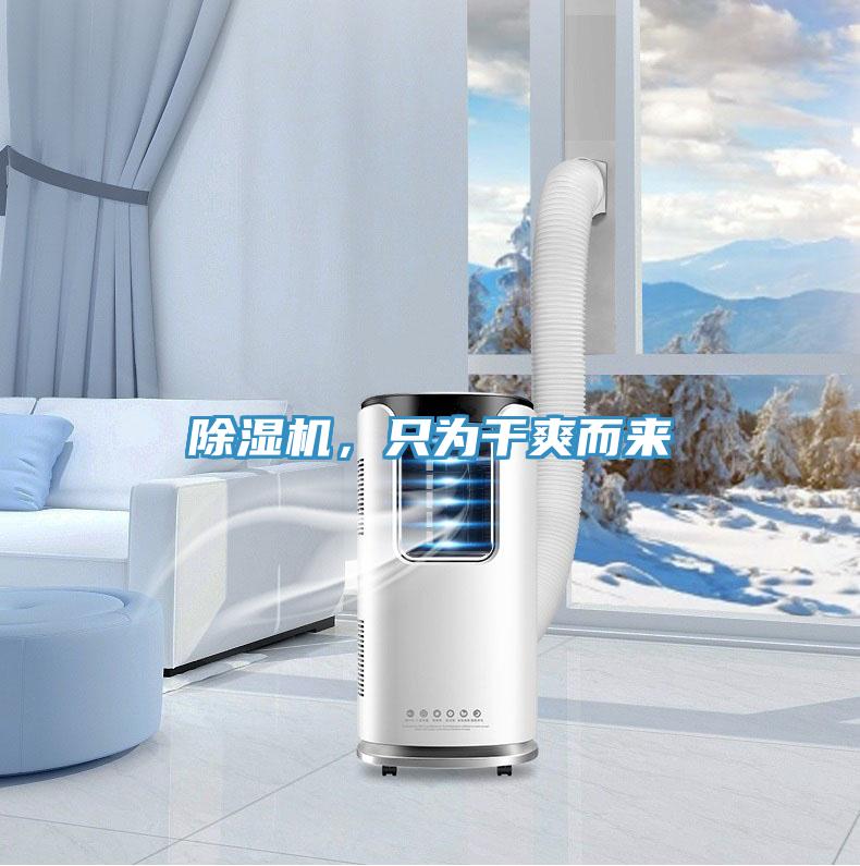 除湿机，只为干爽而来