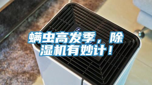 螨虫高发季，除湿机有妙计！