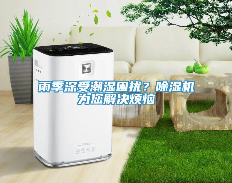 雨季深受潮湿困扰？除湿机为您解决烦恼