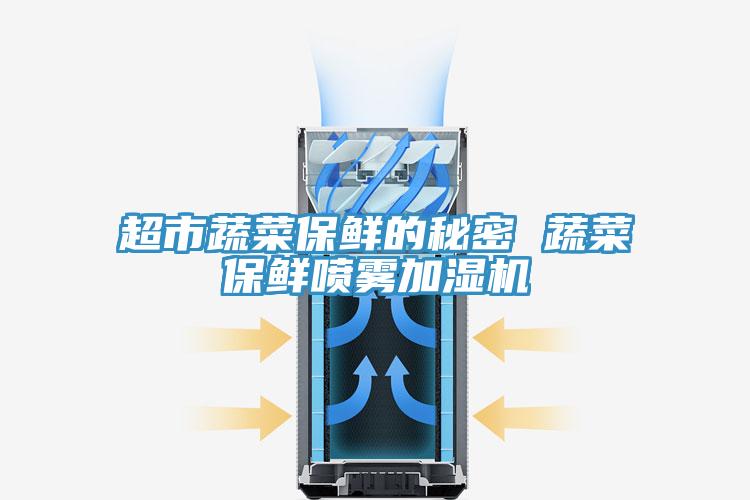 超市蔬菜保鲜的秘密 蔬菜保鲜喷雾加湿机