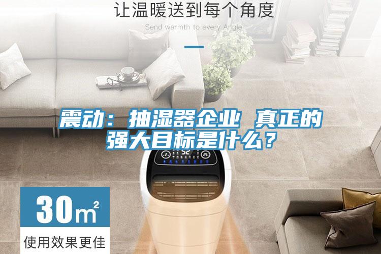 震动：抽湿器企业 真正的强大目标是什么？