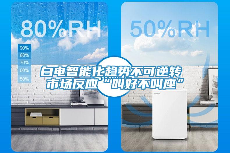 白电智能化趋势不可逆转 市场反应“叫好不叫座”