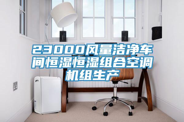 23000风量洁净车间恒湿恒湿组合空调机组生产