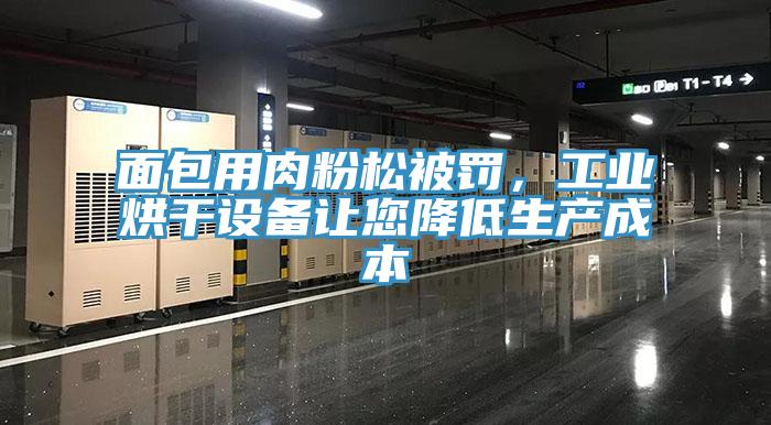 面包用肉粉松被罚，工业烘干设备让您降低生产成本