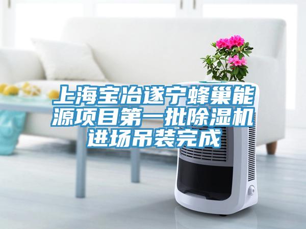 上海宝冶遂宁蜂巢能源项目第一批除湿机进场吊装完成