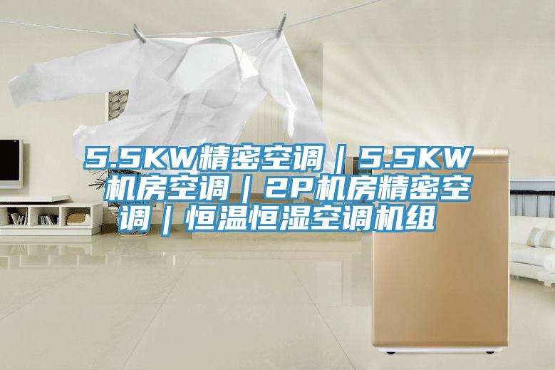 5.5KW精密空调｜5.5KW 机房空调｜2P机房精密空调｜恒温恒湿空调机组