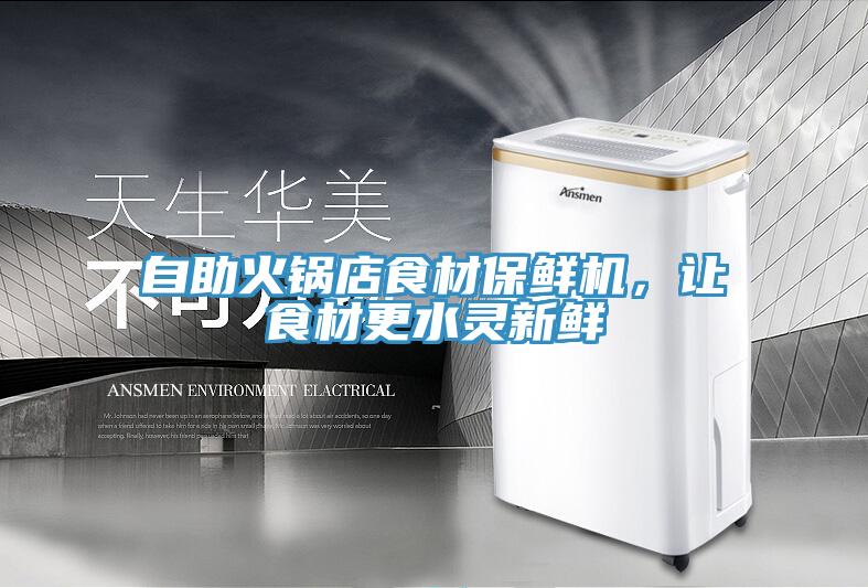 自助火锅店食材保鲜机，让食材更水灵新鲜