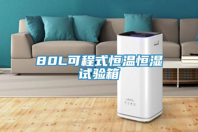 80L可程式恒温恒湿试验箱
