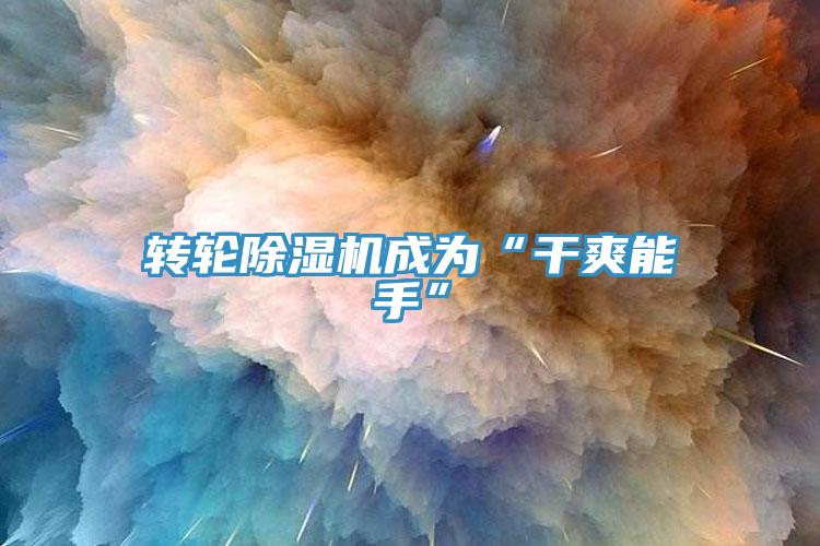 转轮除湿机成为“干爽能手”