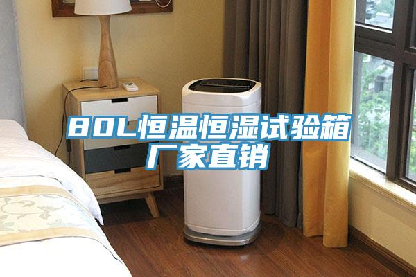 80L恒温恒湿试验箱厂家直销