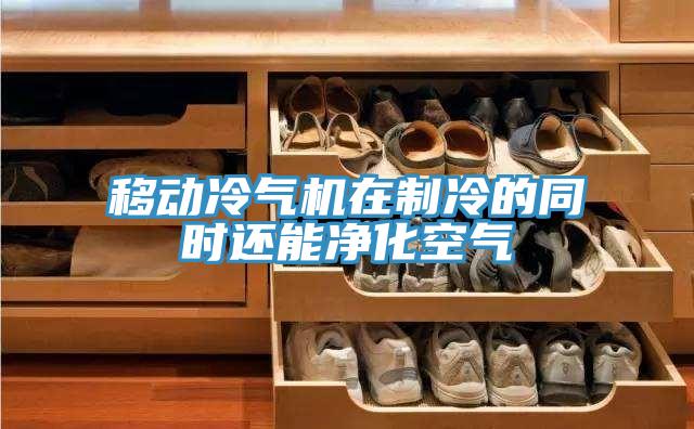 移动冷气机在制冷的同时还能净化空气