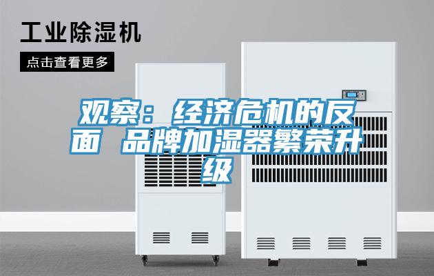 观察：经济危机的反面 品牌加湿器繁荣升级